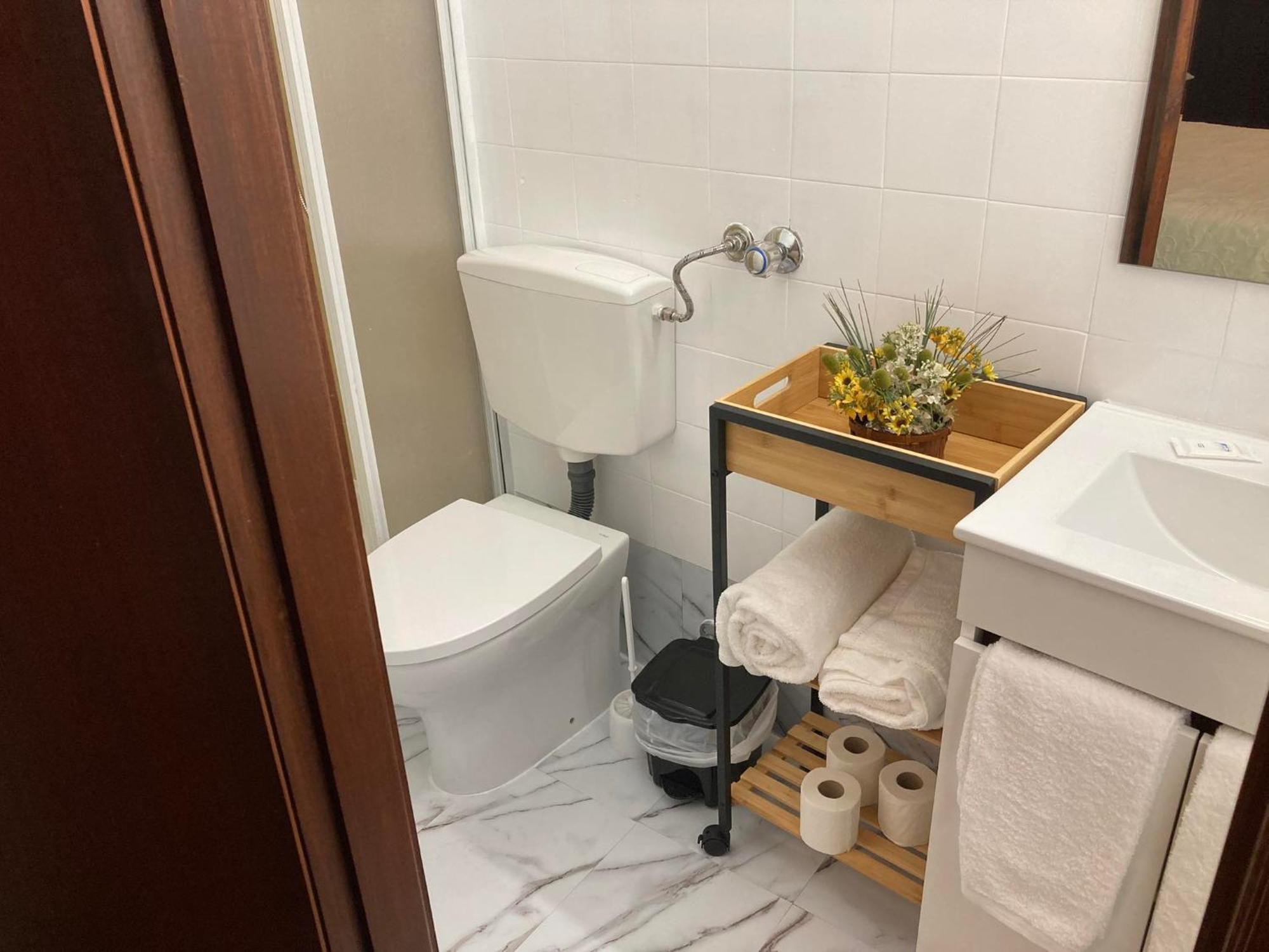 Alojamento Thermal Romano Bed & Breakfast Sao Pedro do Sul Bagian luar foto